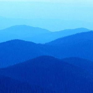 Meet your Posher, Sue